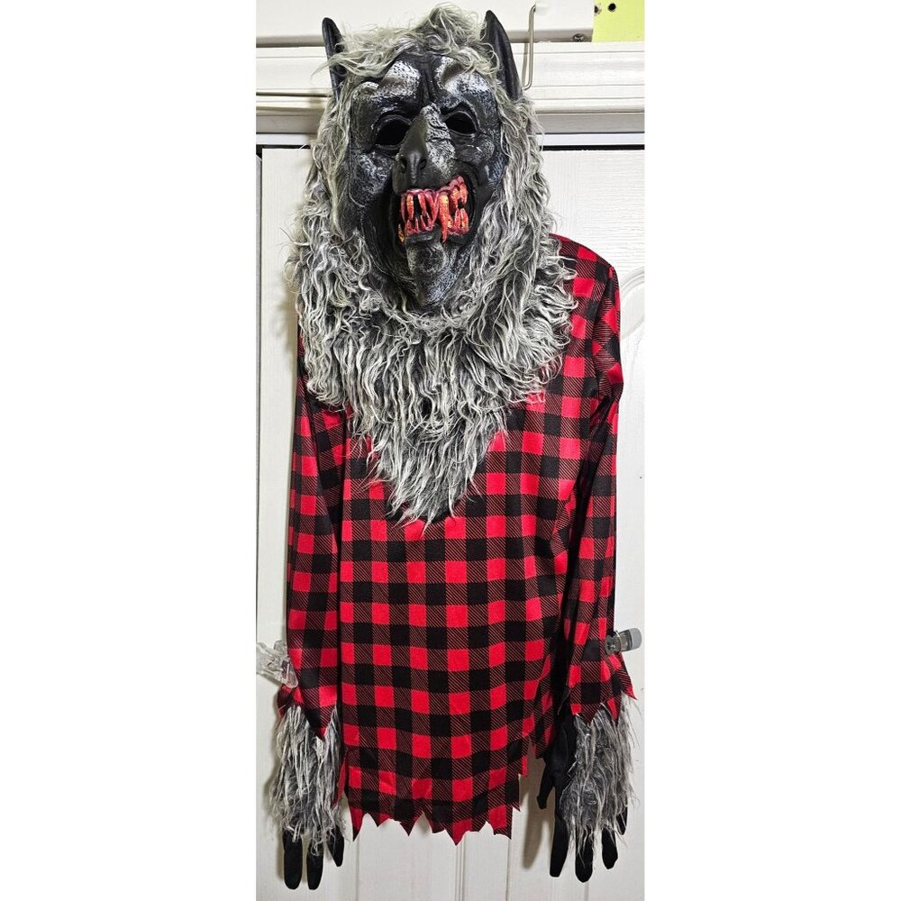 Hungry Howler Werewolf Costume Boys 4-6 Halloween Faux Fur Mask Gloves Top Kids